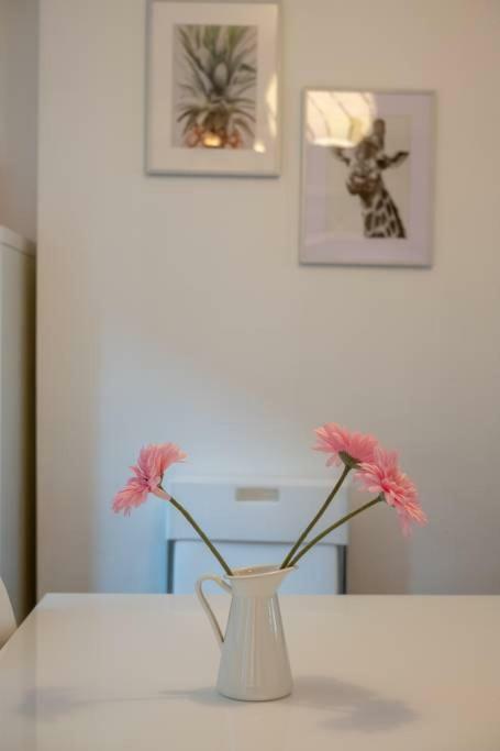 Galway City Cottage Dış mekan fotoğraf